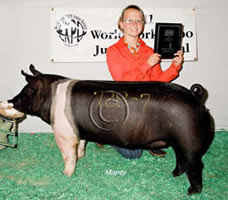 Hamp Winners